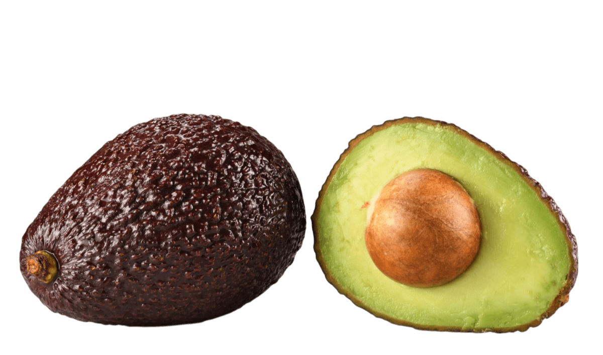 Hass avocado variety